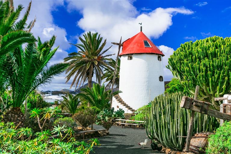 Fuerteventura & Lanzarote entdecken ©Freesurf /adobestock